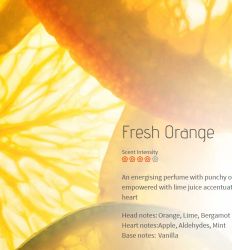 Fresh Orange - osveživač - miris br. 805, flašica 200ml 