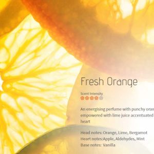 Fresh Orange - osveživač - miris br. 805, flašica 200ml 