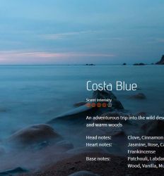 Costa Blue - osveživač - miris br. 828, flašica 200ml 