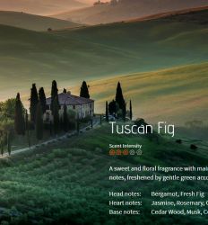 Tuscan Fig - osveživač - miris br. 825, flašica 200ml 