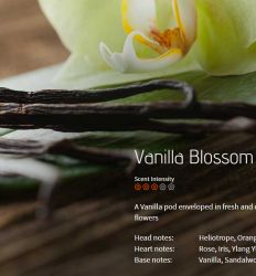 Vanilla Blossom,osveživač - miris br. 860, flašica 200ml 